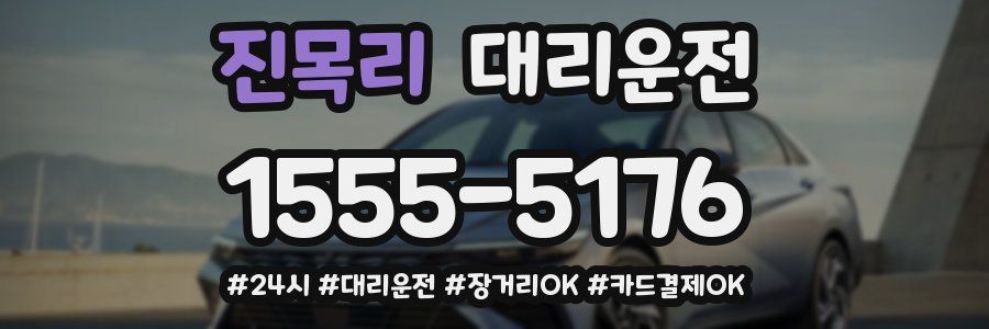 진목리 대리운전