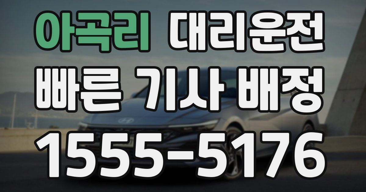일일대리기사