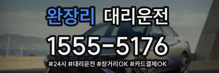 완장리 대리운전