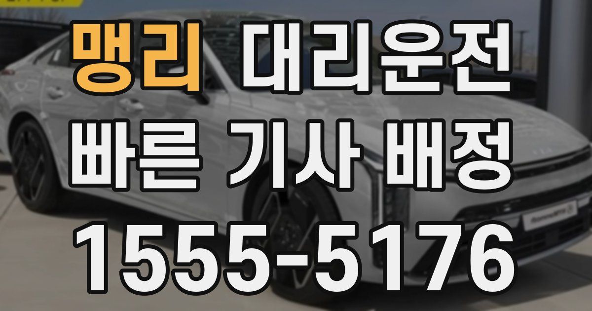 일일대리기사
