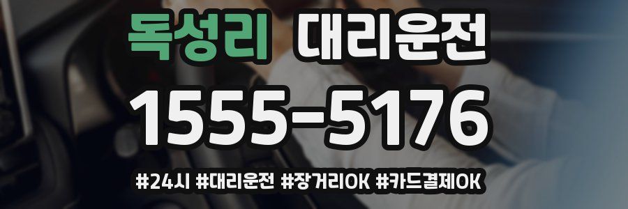 독성리 대리운전