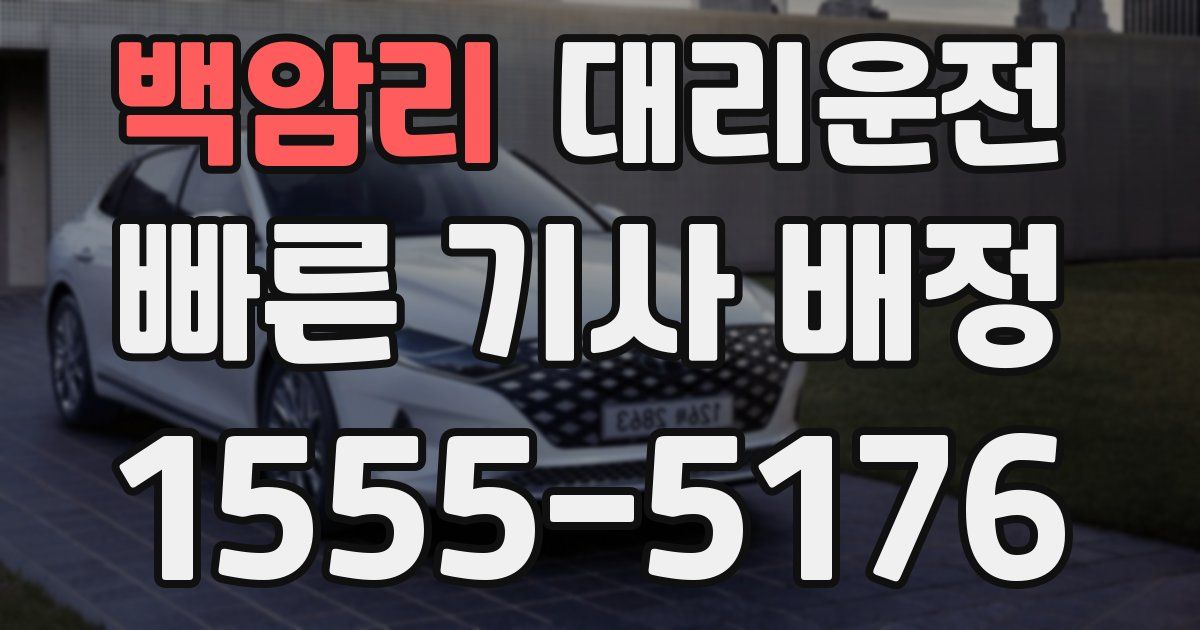 일일대리기사