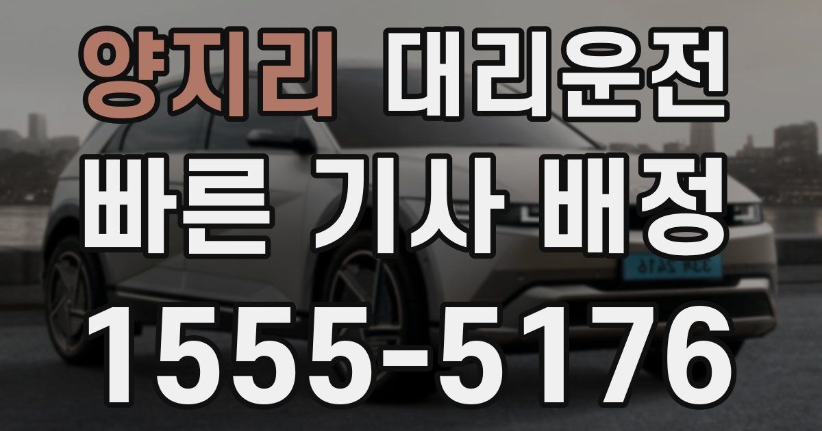 일일대리기사