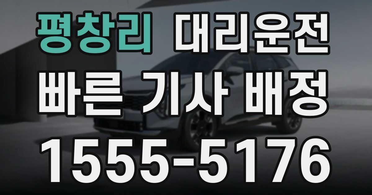 일일대리기사