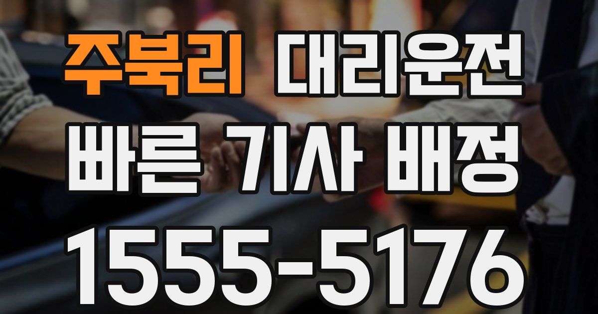 일일대리기사