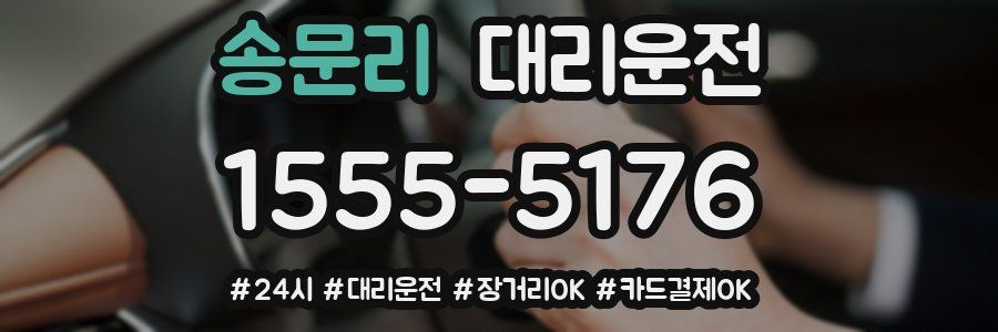 송문리 대리운전