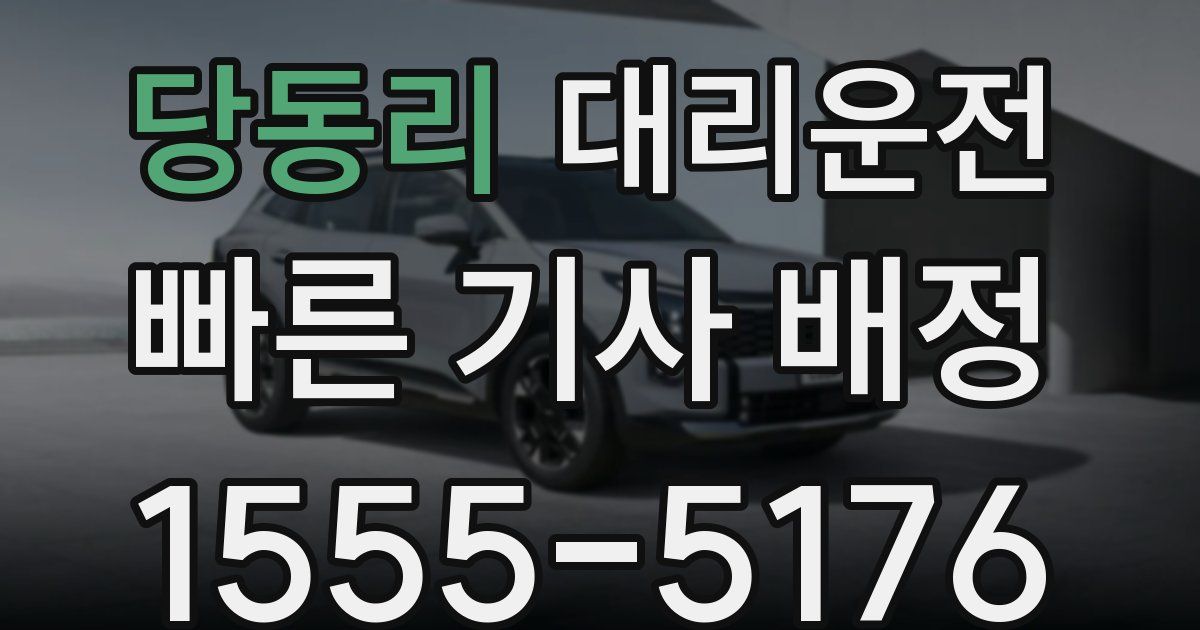 일일대리기사