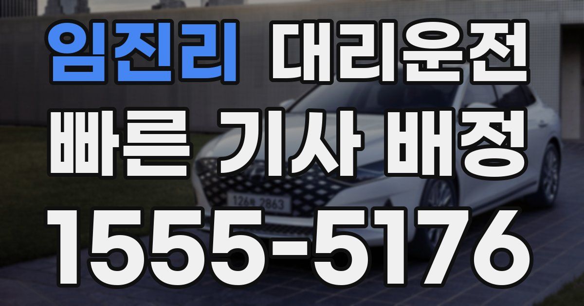 일일대리기사