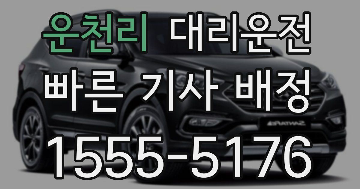 일일대리기사