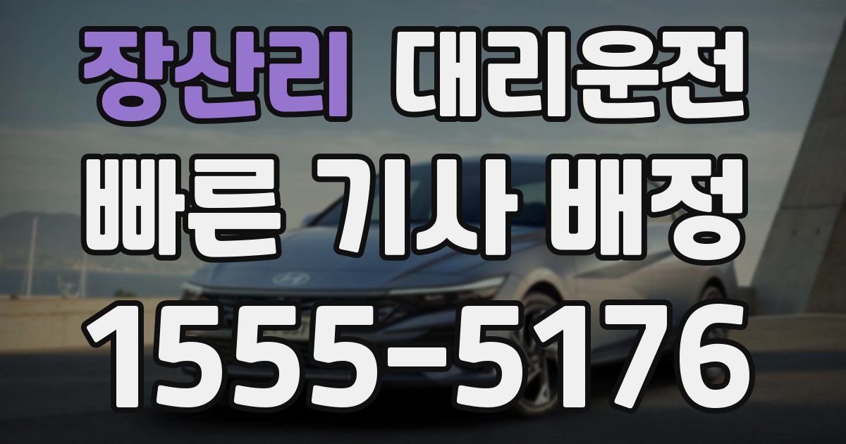 일일대리기사