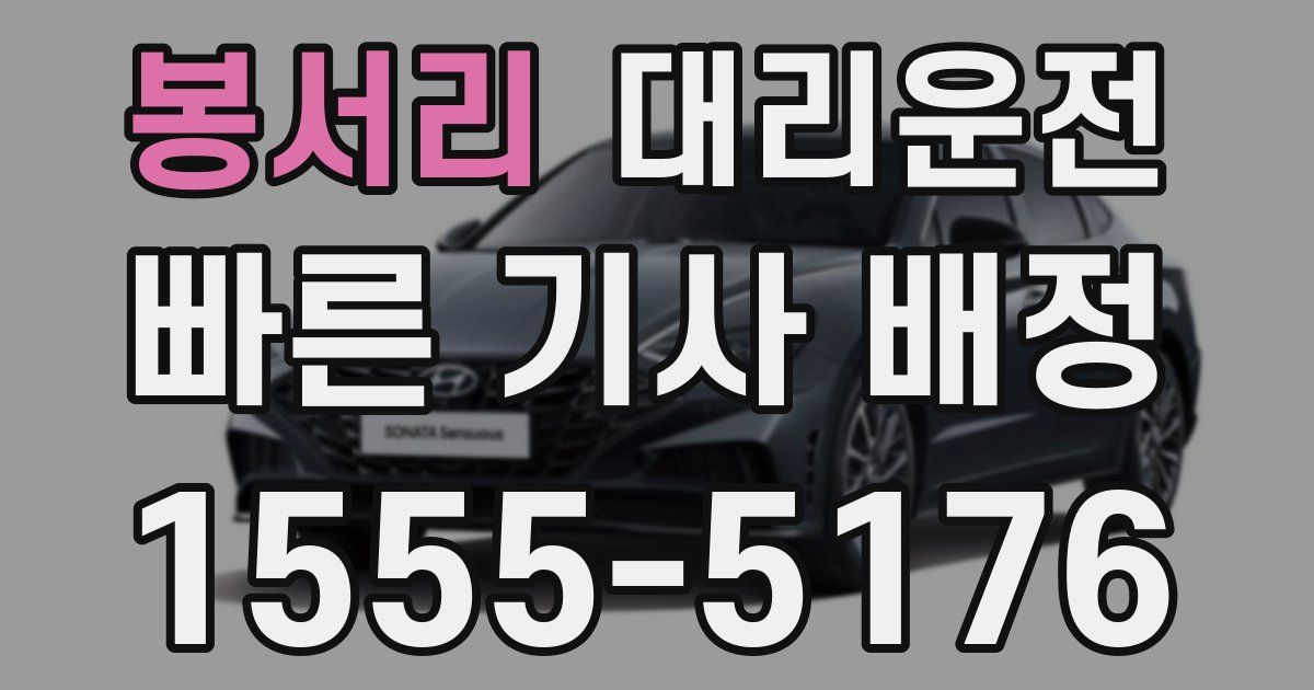 일일대리기사