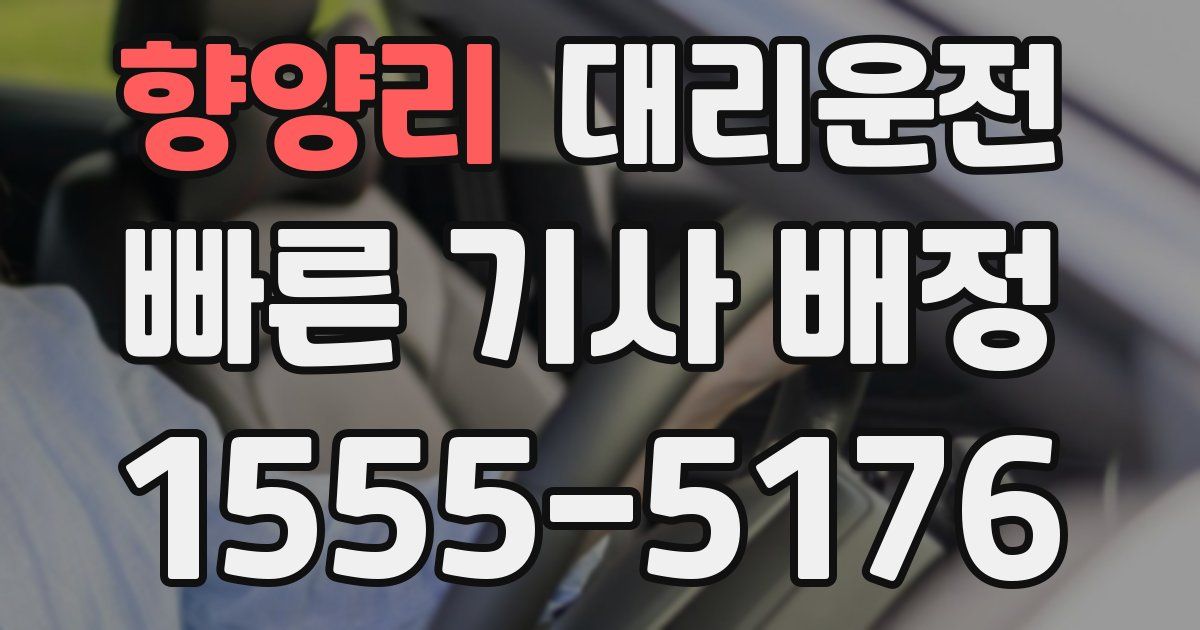일일대리기사