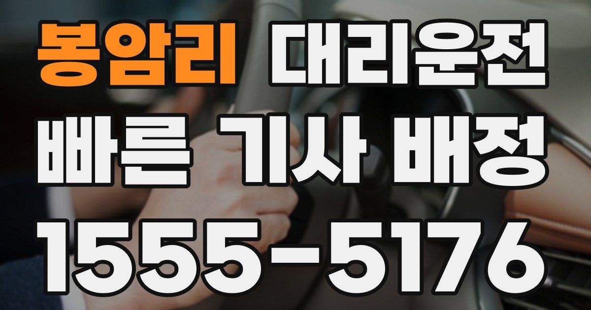 일일대리기사