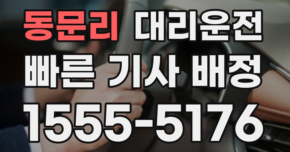 일일대리기사