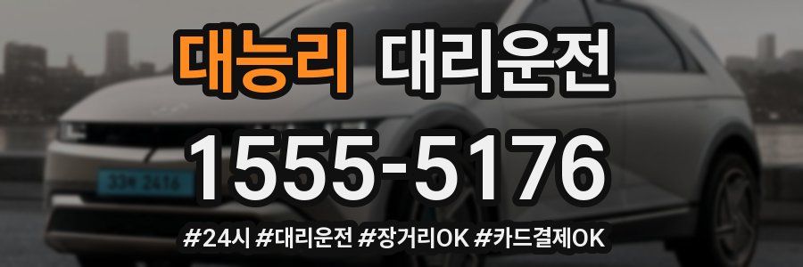대능리 대리운전