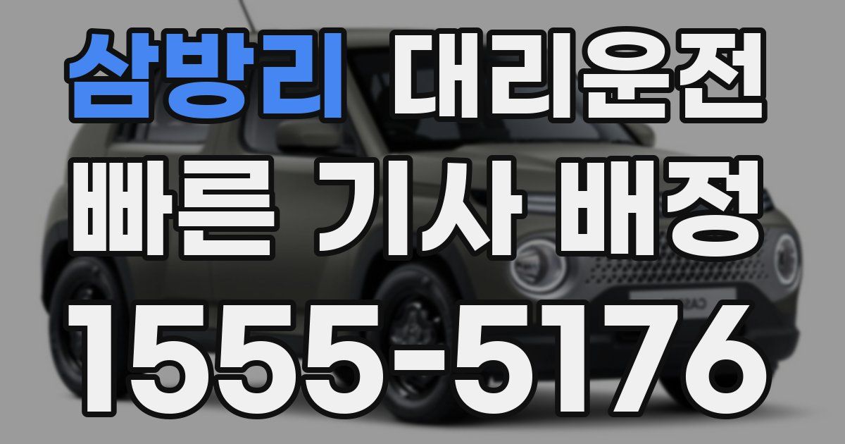 일일대리기사