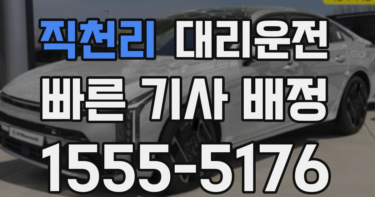 일일대리기사