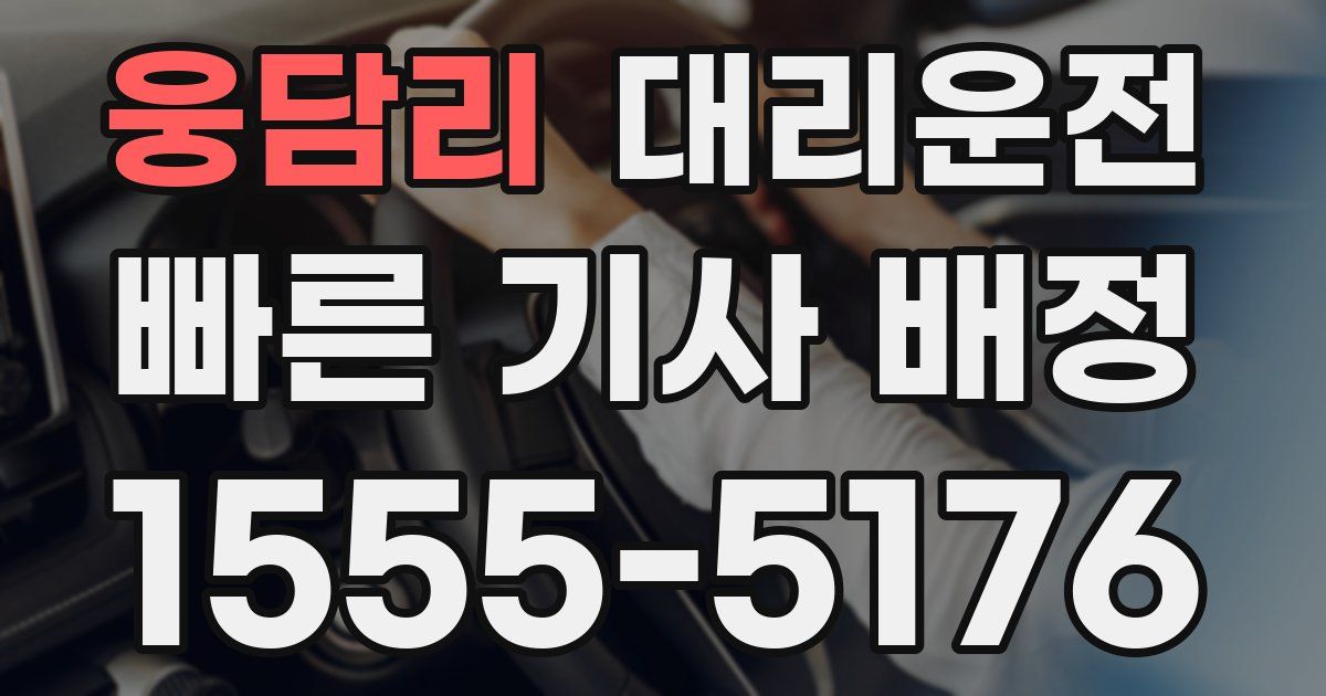 일일대리기사