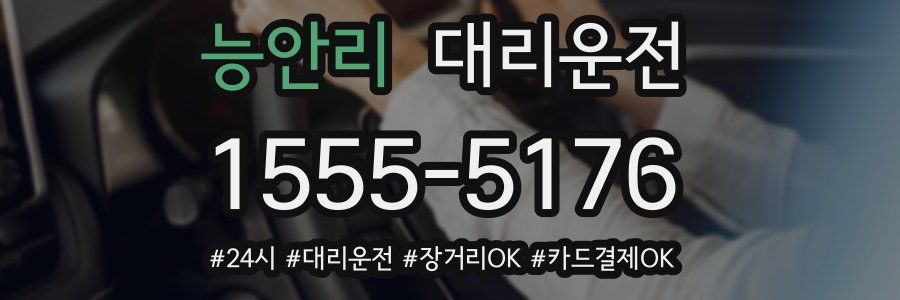 능안리 대리운전