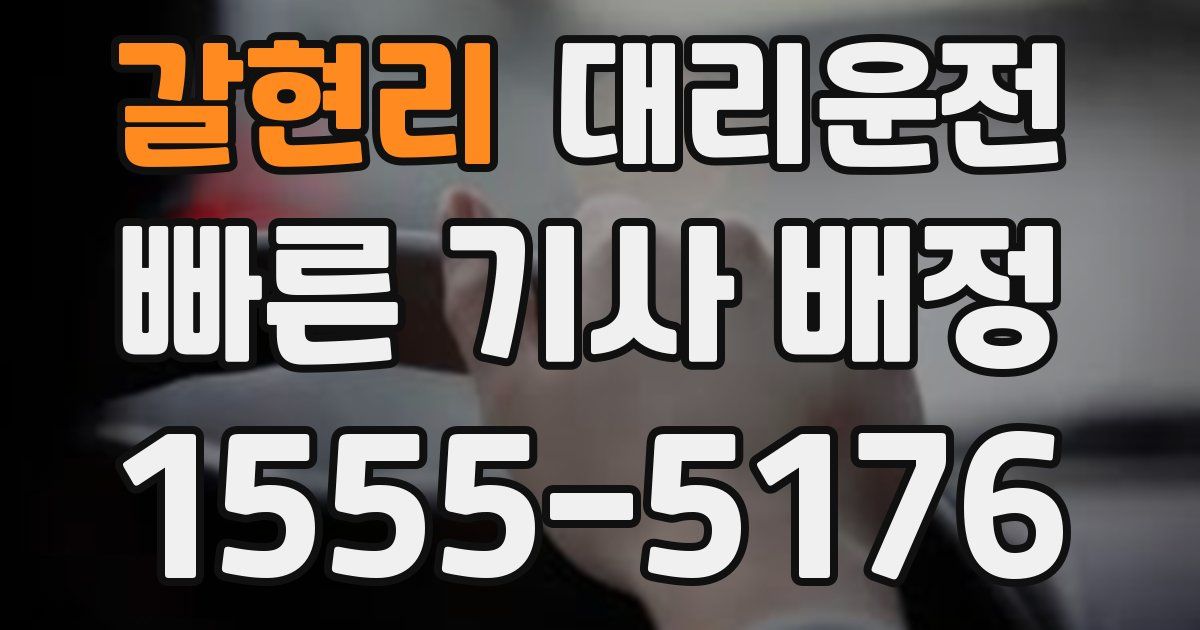 일일대리기사