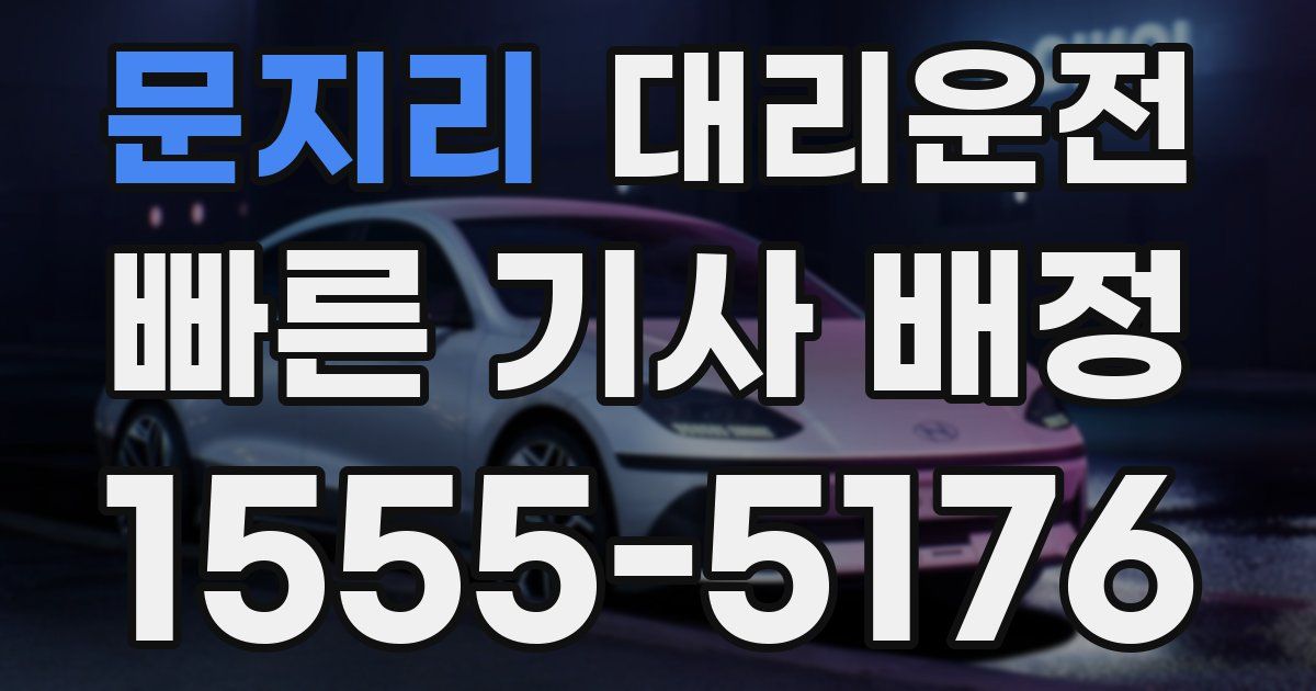일일대리기사