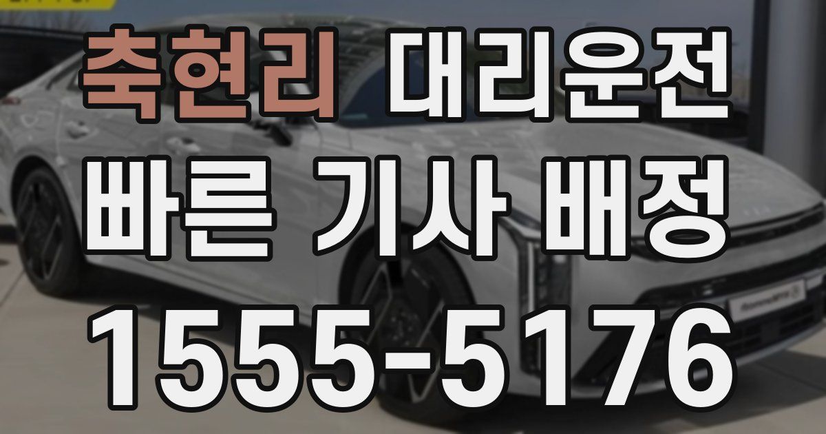 일일대리기사