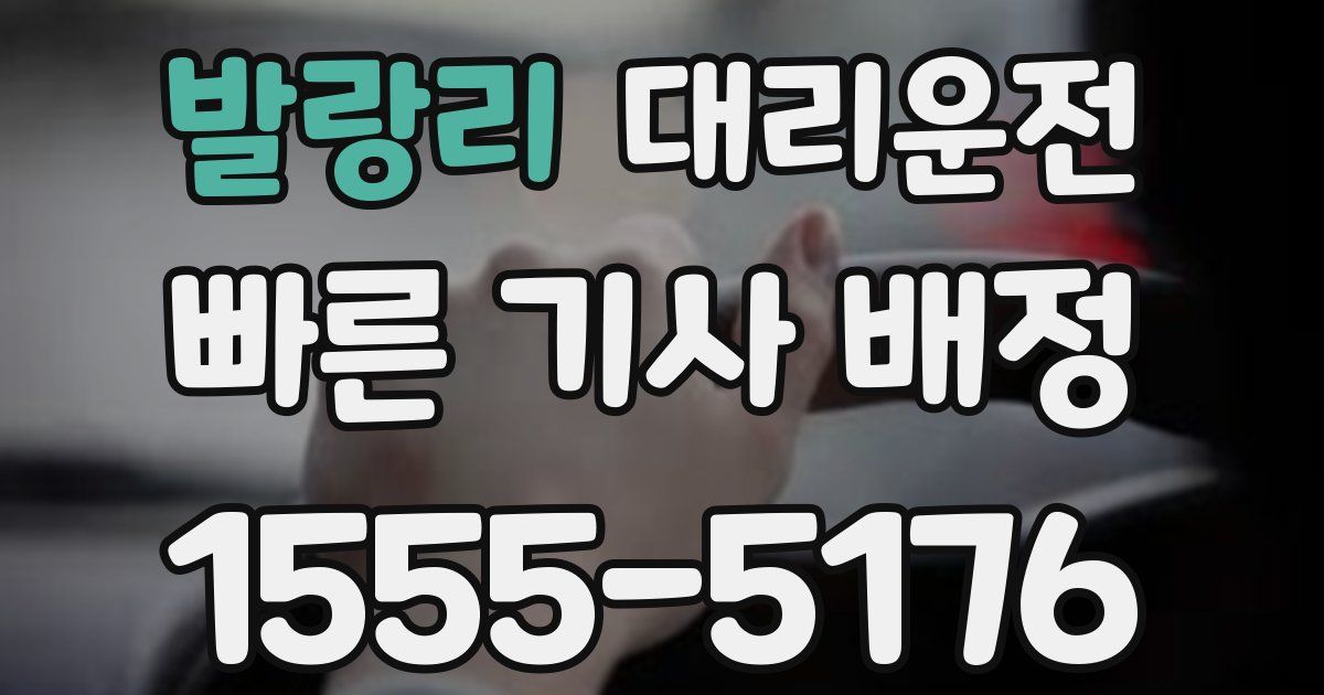 일일대리기사