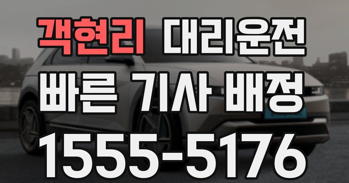 일일대리기사