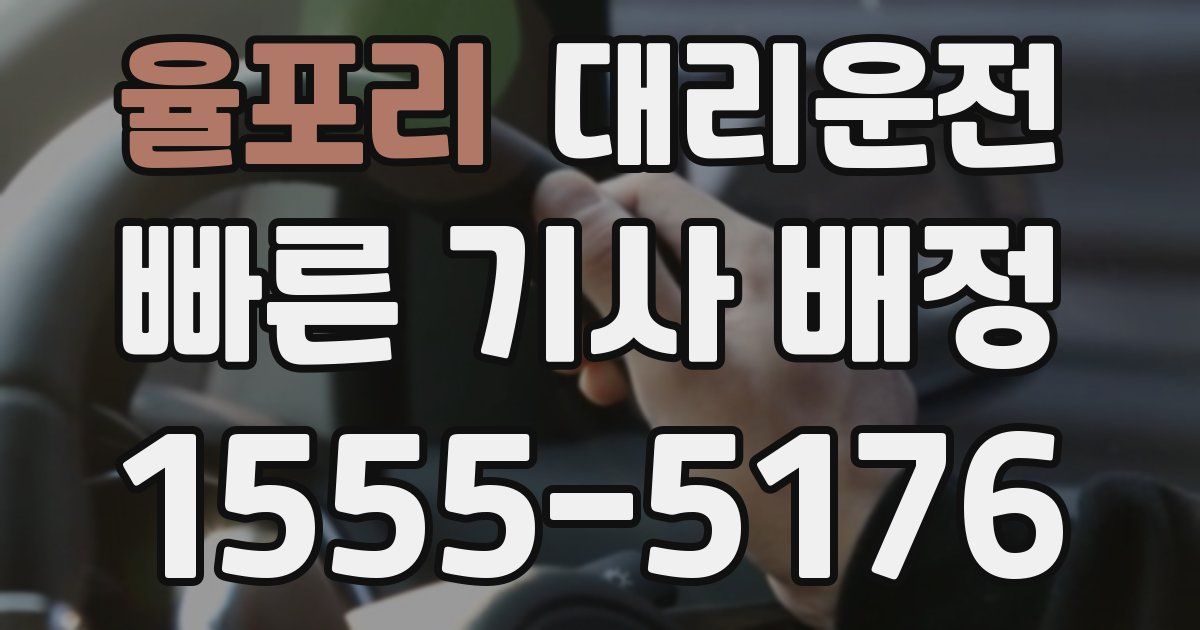 일일대리기사