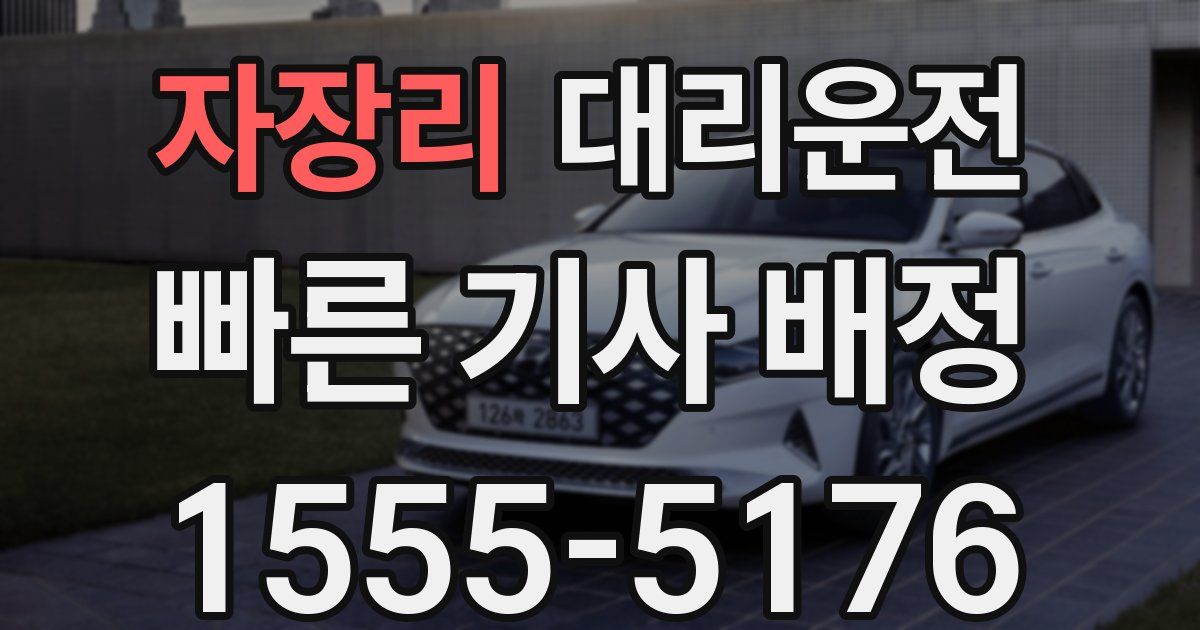 일일대리기사