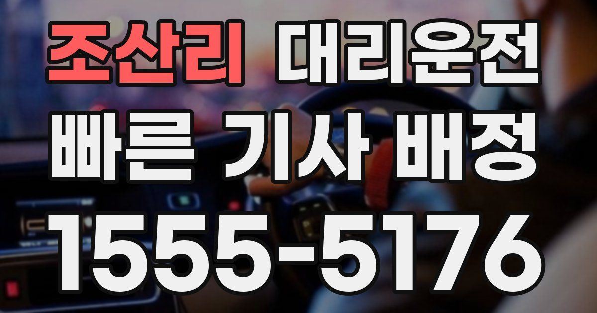 일일대리기사