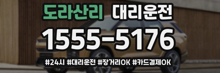 도라산리 대리운전