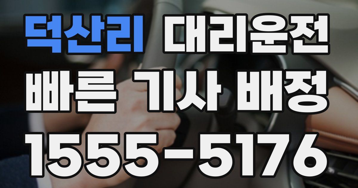 일일대리기사