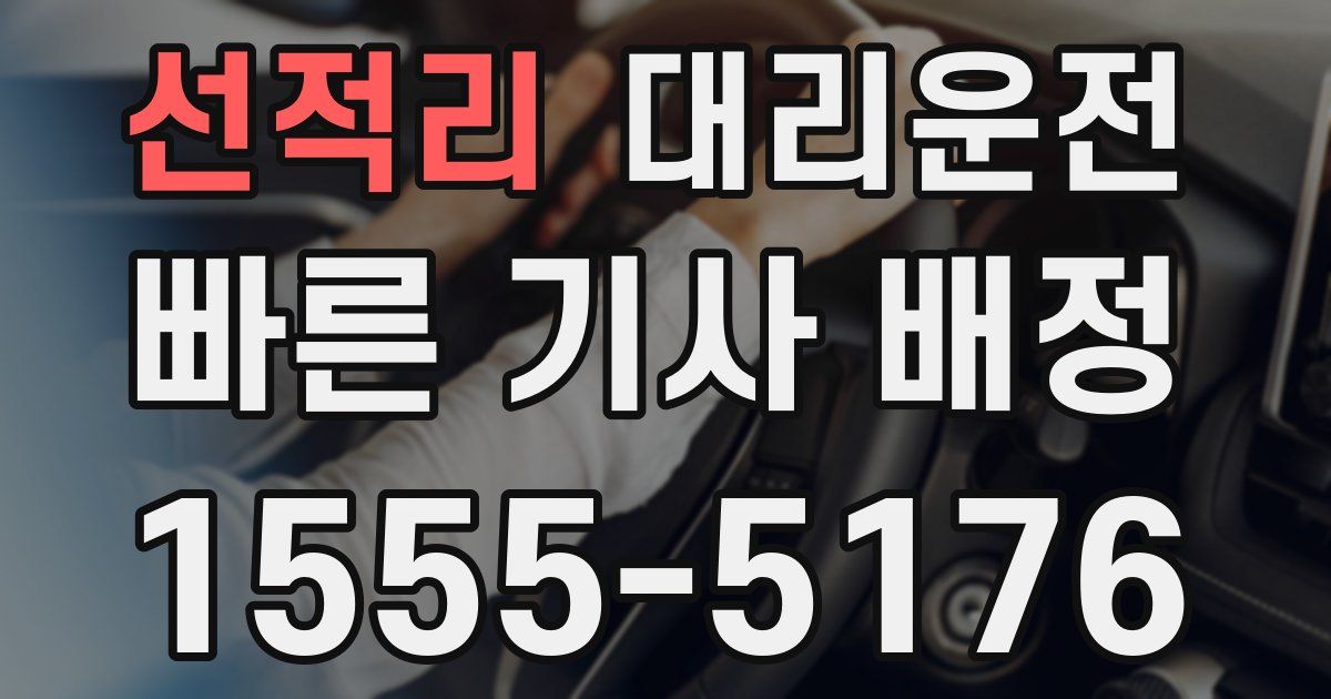 일일대리기사