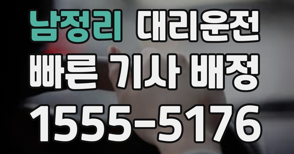 일일대리기사