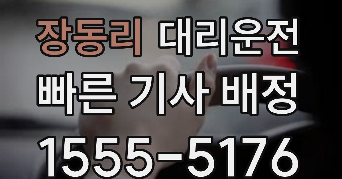 일일대리기사