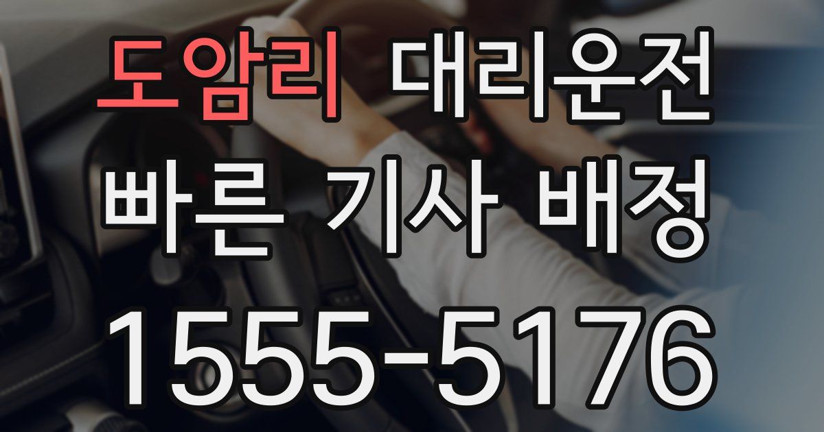 일일대리기사