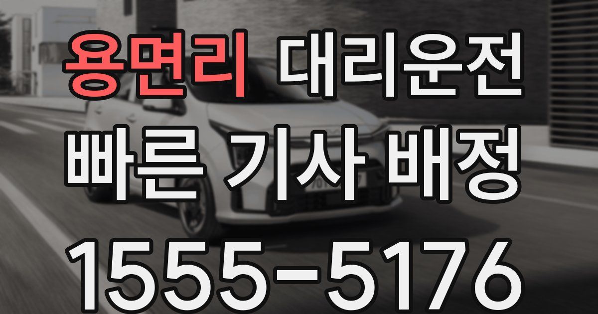 일일대리기사