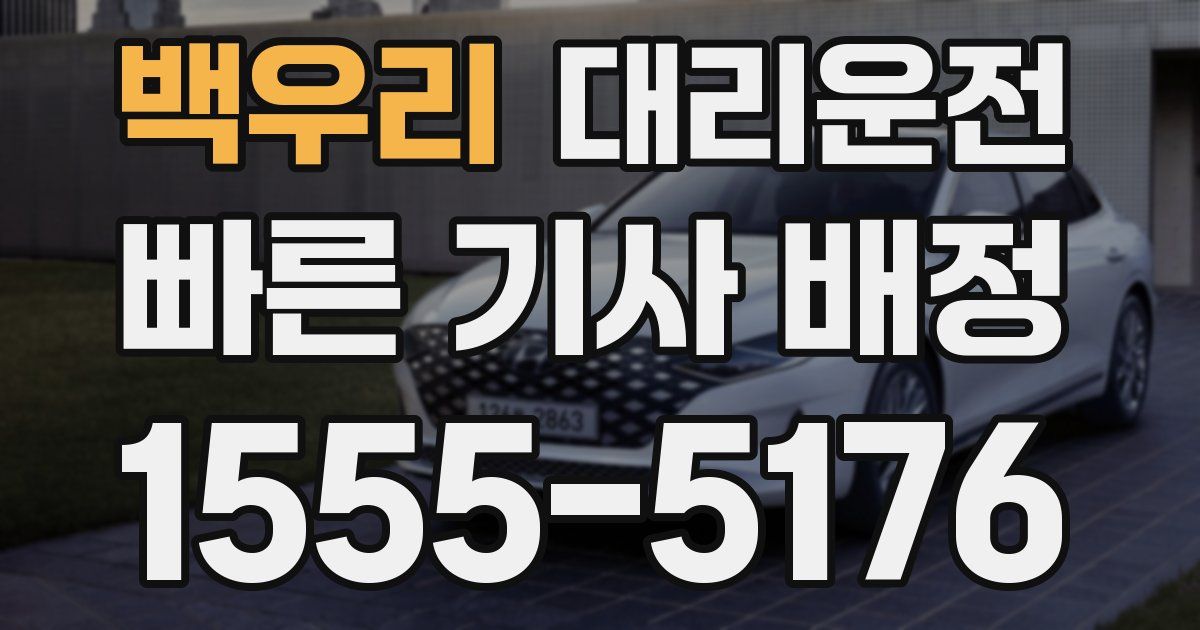 일일대리기사