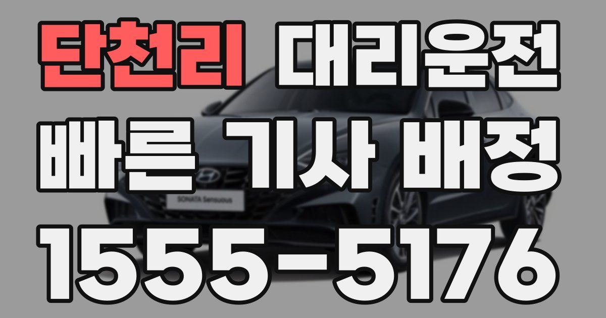 일일대리기사