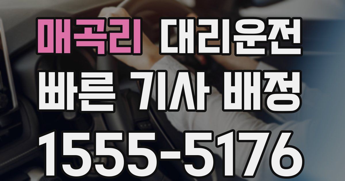 일일대리기사