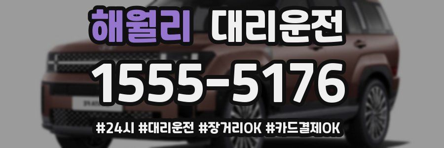 해월리 대리운전