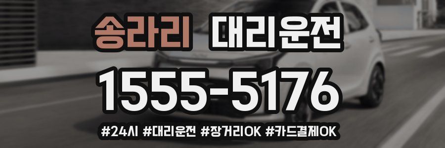 송라리 대리운전