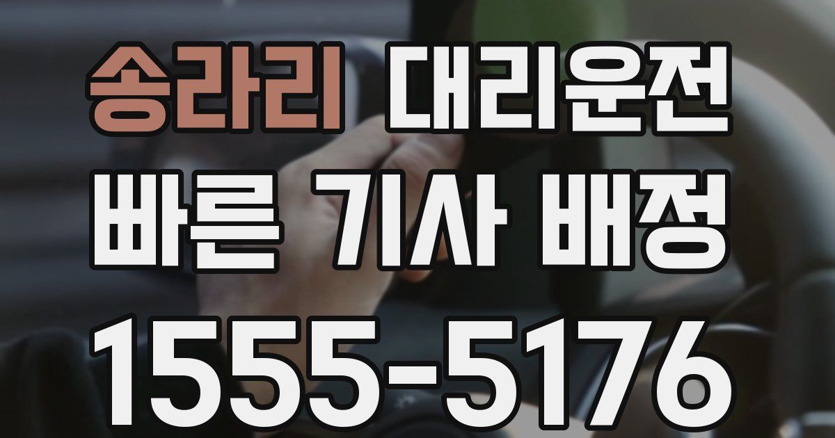일일대리기사