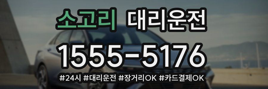 소고리 대리운전
