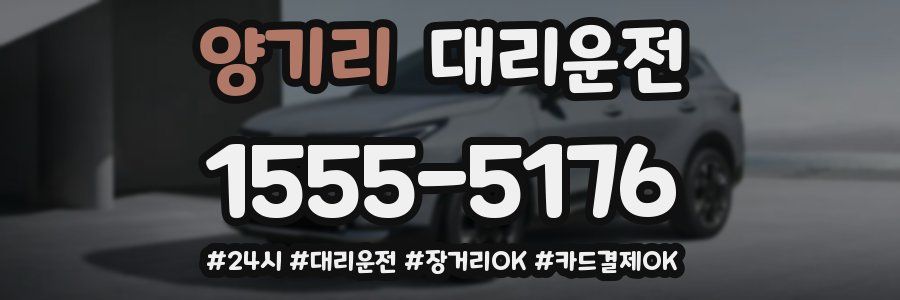 양기리 대리운전