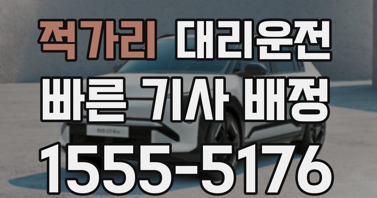 일일대리기사