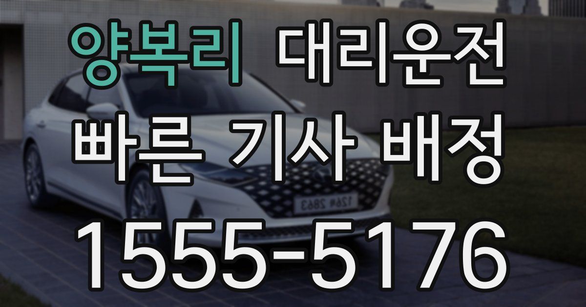 일일대리기사