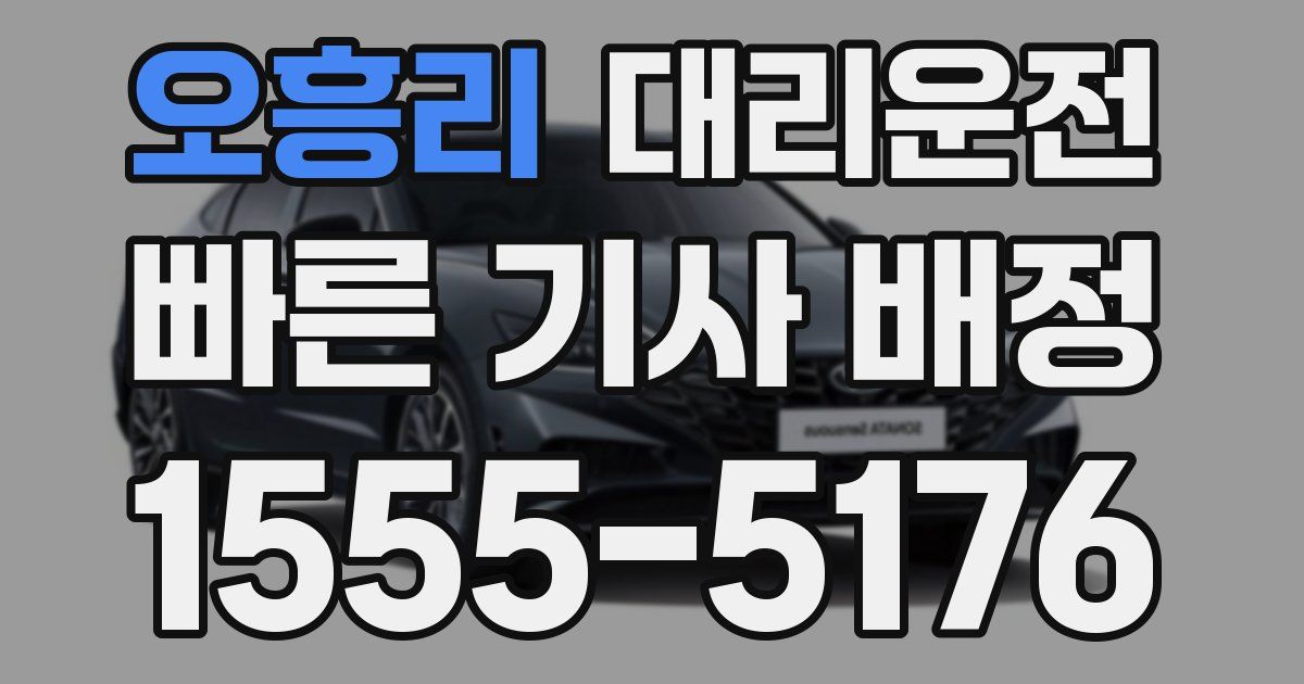 일일대리기사