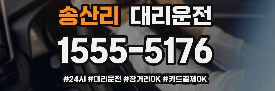 송산리 대리운전